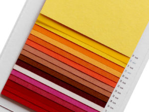 CAMPIONARIO A COLORI